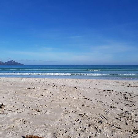 Ideal Property Mallorca - Playasol Port de Alcudia  Екстер'єр фото