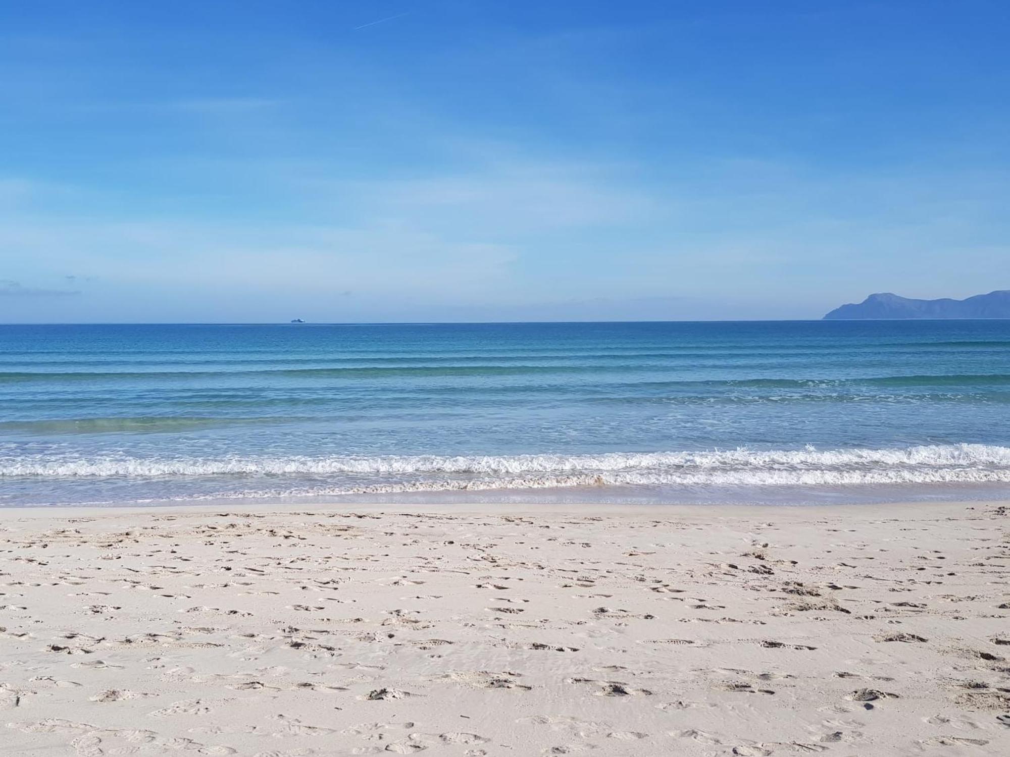 Ideal Property Mallorca - Playasol Port de Alcudia  Екстер'єр фото