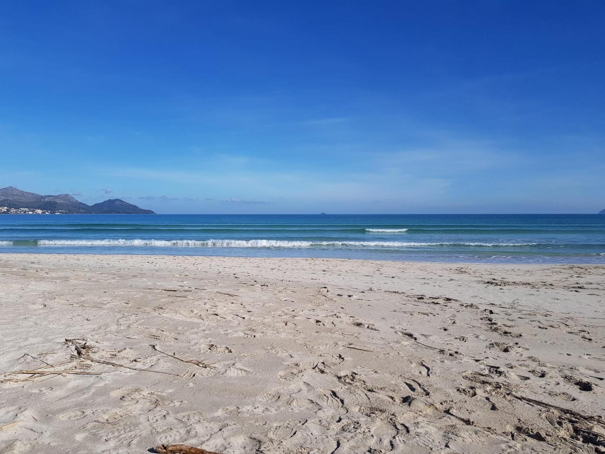 Ideal Property Mallorca - Playasol Port de Alcudia  Екстер'єр фото